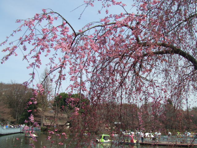 c0071545_18432818.jpg