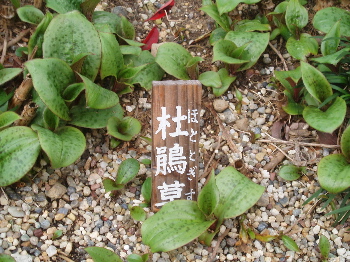 f0084747_2217164.jpg