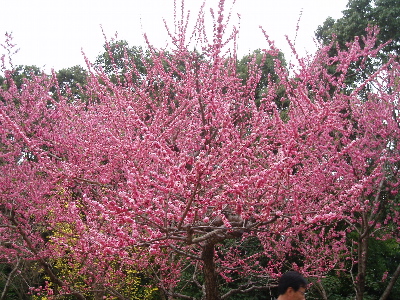 f0084747_22221734.jpg