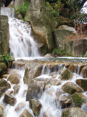 f0084747_22242694.jpg