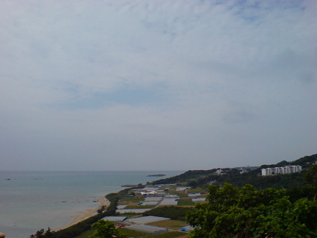 e0050449_19303.jpg