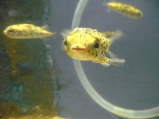 e0138350_1123487.jpg