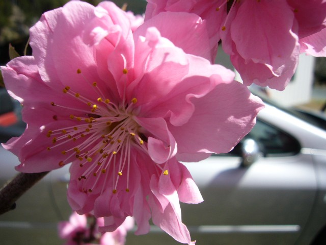 f0091250_1773735.jpg