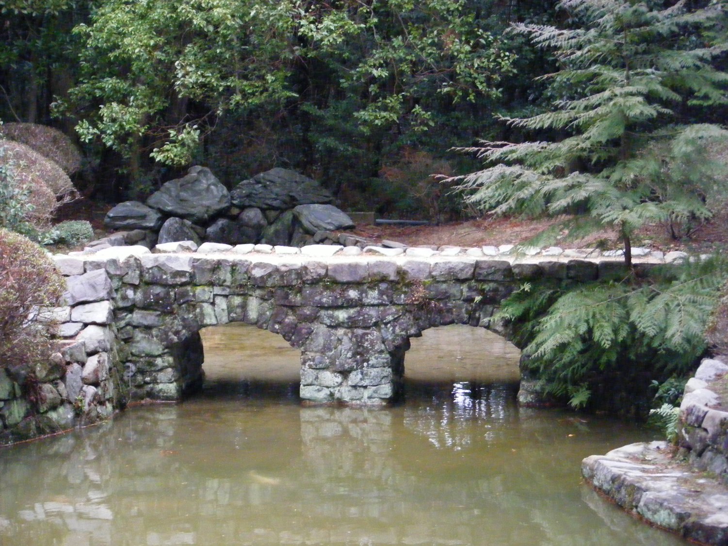 e0141754_1495667.jpg