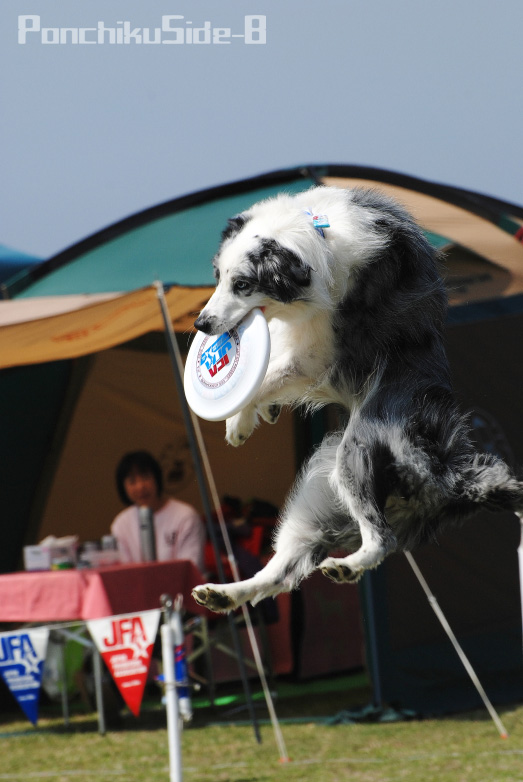 c0123759_01870.jpg