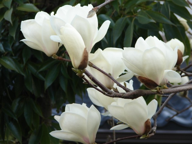b0061261_211263.jpg