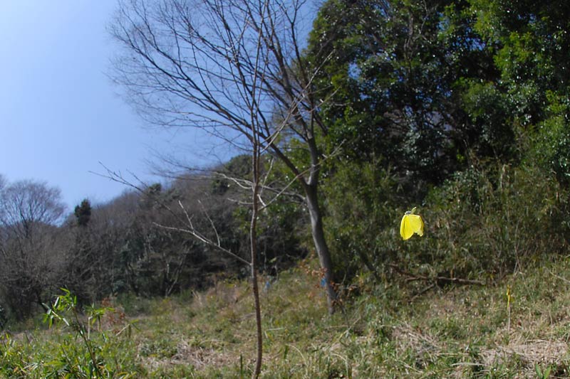 c0043361_23103692.jpg