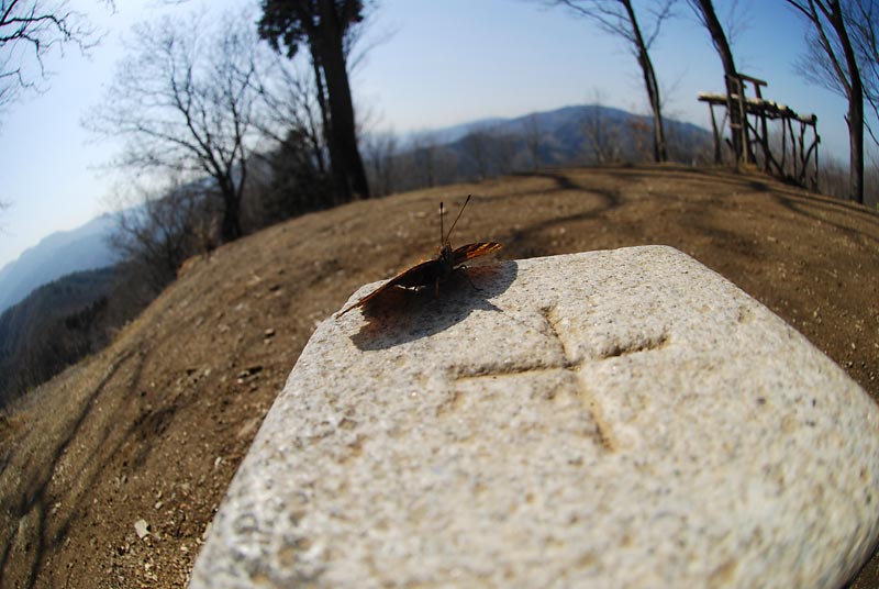 c0043361_2353265.jpg