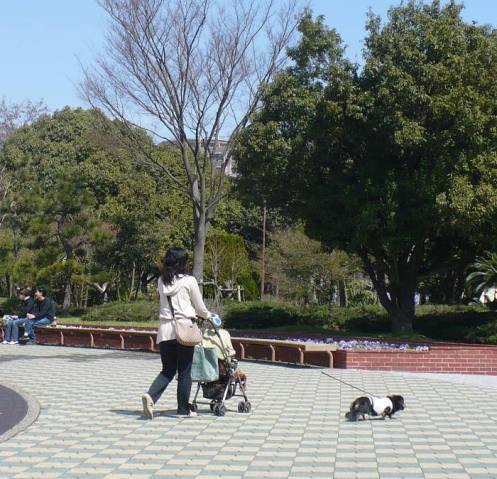 a0063364_13384153.jpg