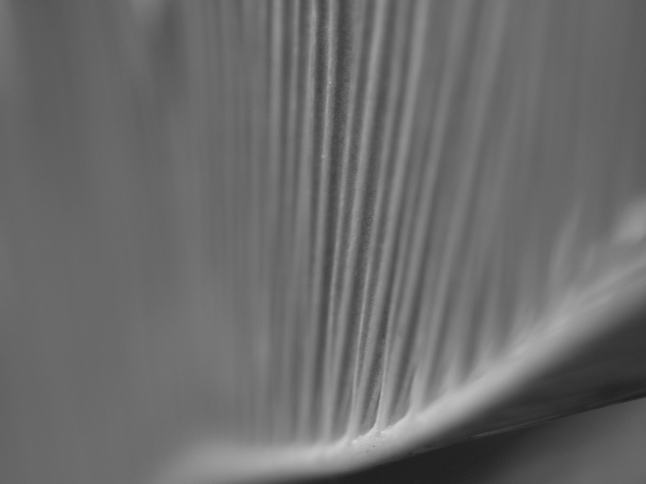 a0098864_2044852.jpg