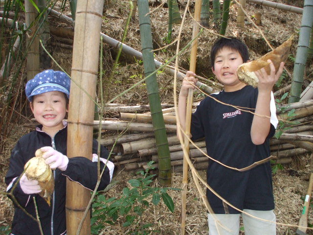c0138868_1349158.jpg