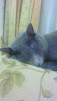 f0116278_22201195.jpg