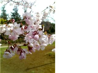 c0052779_23183945.jpg