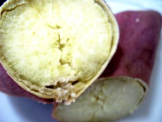 e0132881_2347519.jpg