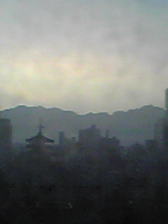 d0119487_5572350.jpg