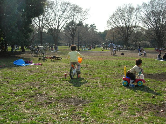 a0045688_24352.jpg