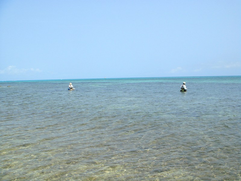 c0139388_13115281.jpg