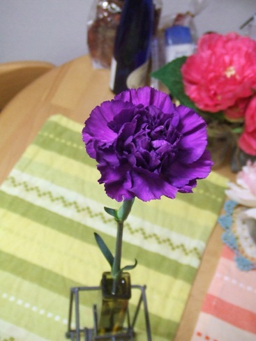 e0030488_2392759.jpg