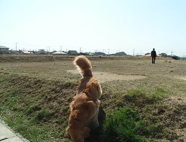 c0096393_22274837.jpg