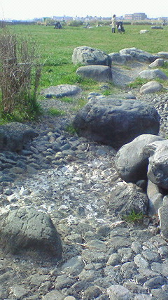 f0135295_17243187.jpg