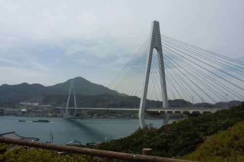 f0073398_2048179.jpg