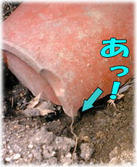 e0014000_13245012.jpg