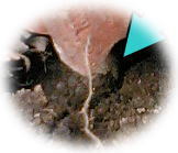 e0014000_13255141.jpg