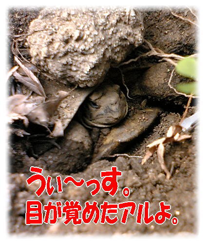 e0014000_13274228.jpg