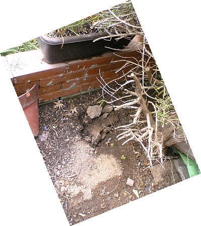 e0014000_13515795.jpg