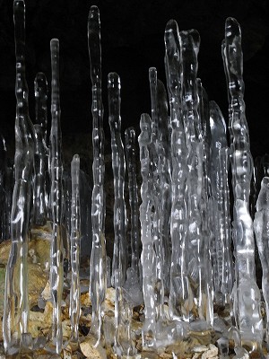 f0157901_22241085.jpg