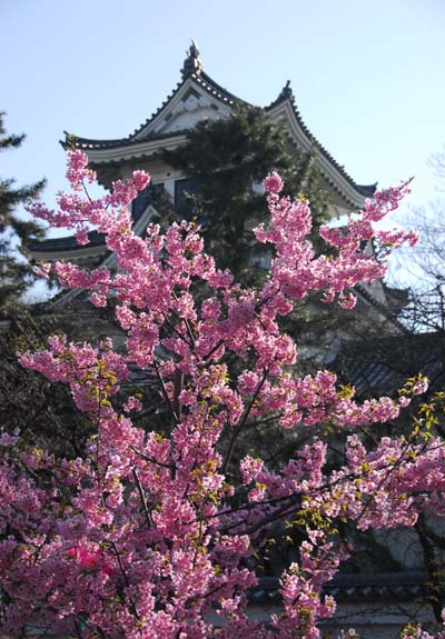 a0044202_187838.jpg