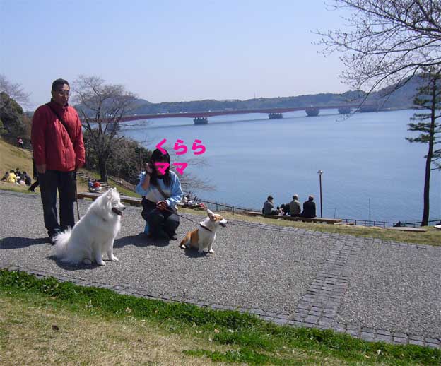 e0018604_1234519.jpg
