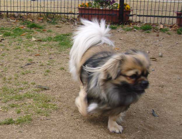 e0018604_20113094.jpg