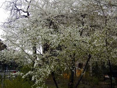 f0021504_0563448.jpg