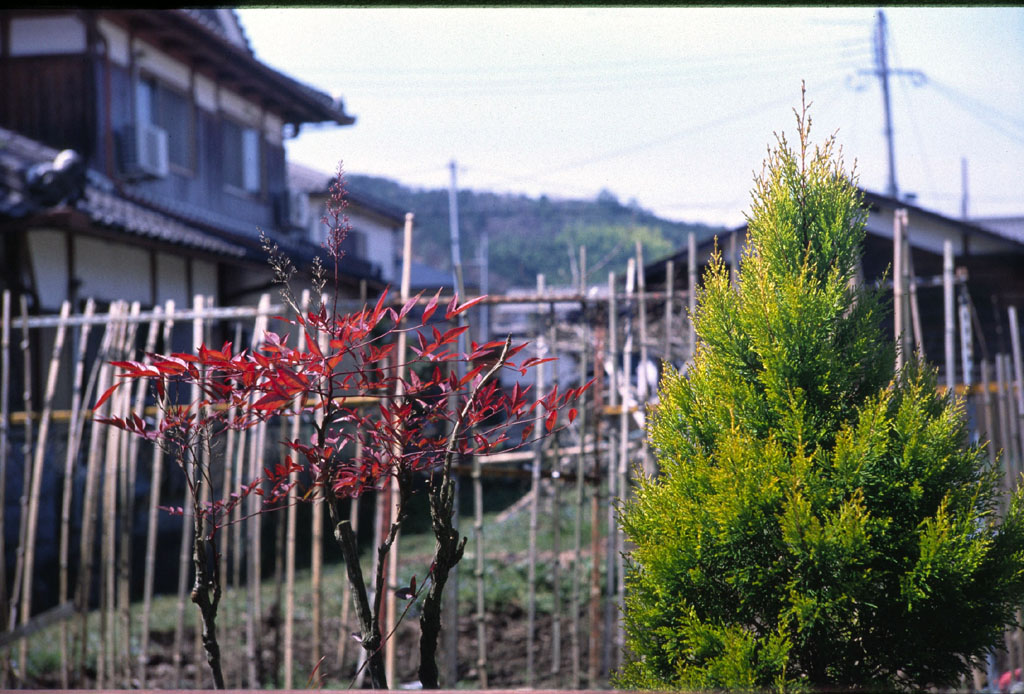 e0129805_7321130.jpg