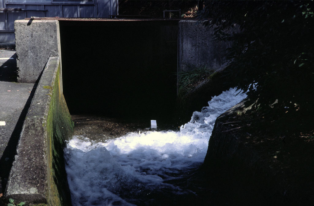 e0129805_7505344.jpg