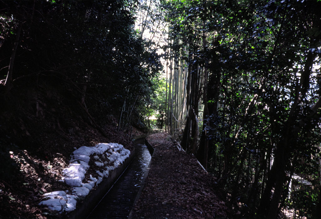 e0129805_7511566.jpg