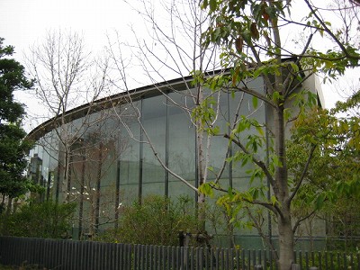 e0145711_1454038.jpg