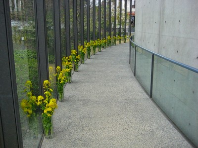 e0145711_1455932.jpg