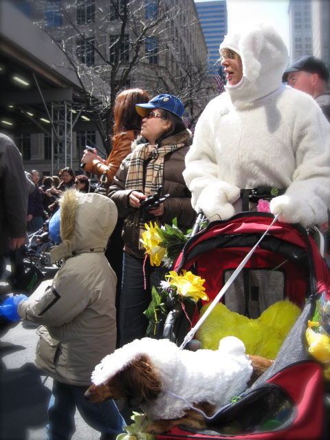 c0120817_11382595.jpg