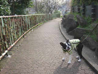 e0080117_0175649.jpg