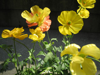 c0103119_14551212.jpg