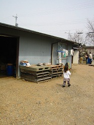 c0094621_835471.jpg