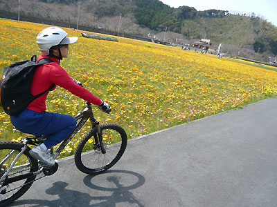 d0023725_1214799.jpg