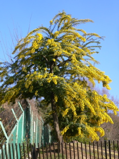 b0044528_0154672.jpg