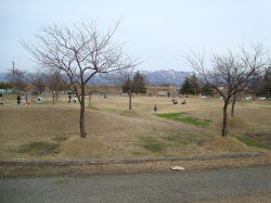 f0054731_233163.jpg