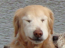 f0054731_2361346.jpg