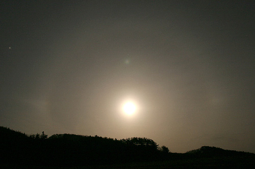 a0087133_2313847.jpg