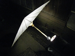 a0055835_10524468.jpg