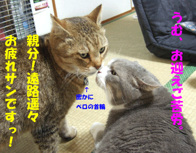 f0008935_1229258.gif